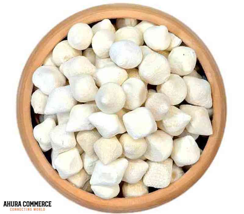 1081_curd_supplier_and_producer_in_iran