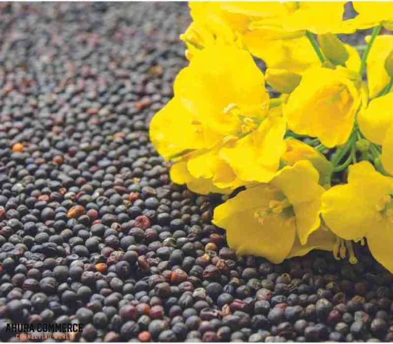 1089_buy_refined_canola_oil_from_canada