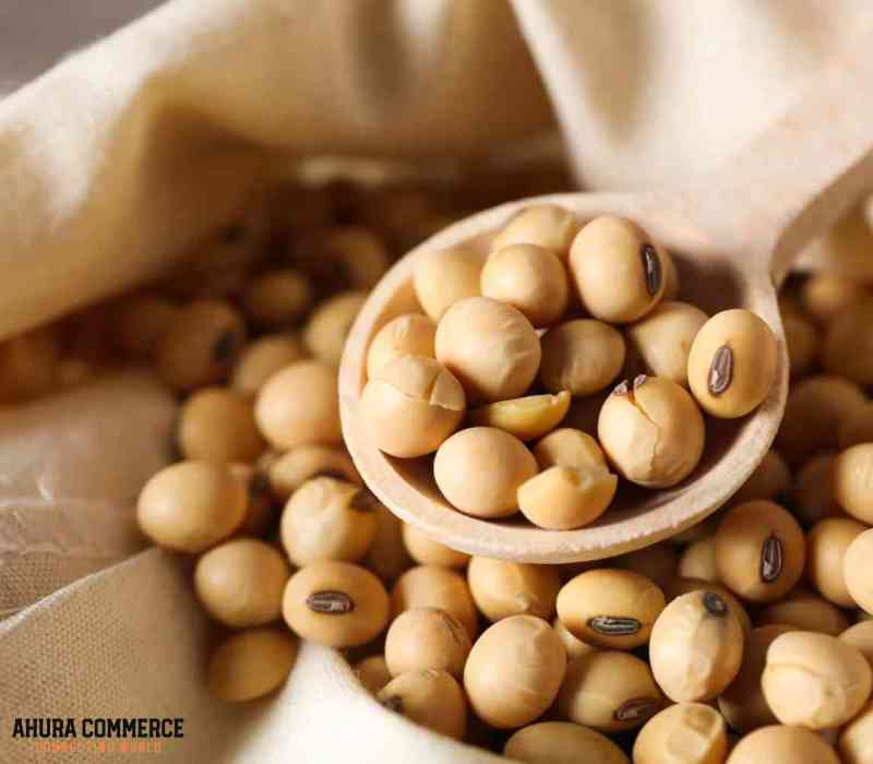 1095_best_soybean_wholesaler_in_canada