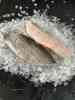Silver Hake fish supplier in Canada
