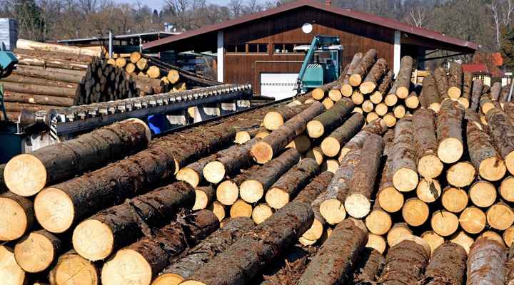 Lumber suppliers list 2025 best prices guide