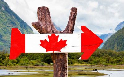 Top Canadian Exports Products in Global Demand in 2026